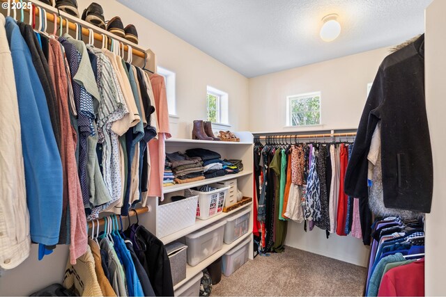 842 NE Rothbury Ave, Hillsboro, OR 97124 - spacious closet with carpet flooring