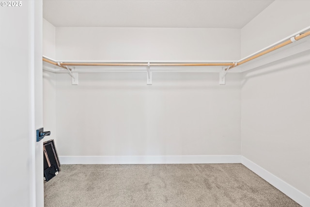 walk in closet featuring light carpet