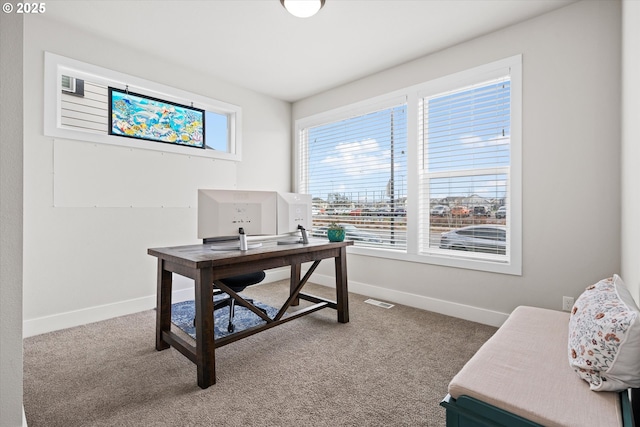 office space with carpet floors