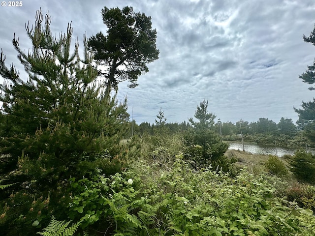 Lake Point Dr Unit 23, Florence, OR 97439