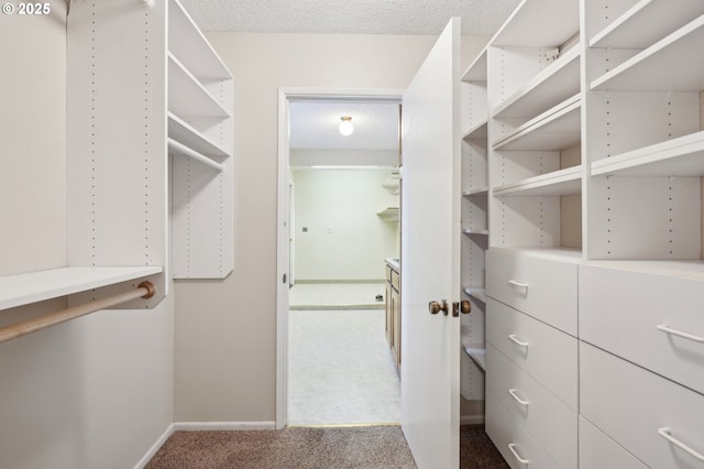 1200 NE Territorial Rd Unit 83, Canby, OR 97013 - walk in closet featuring carpet