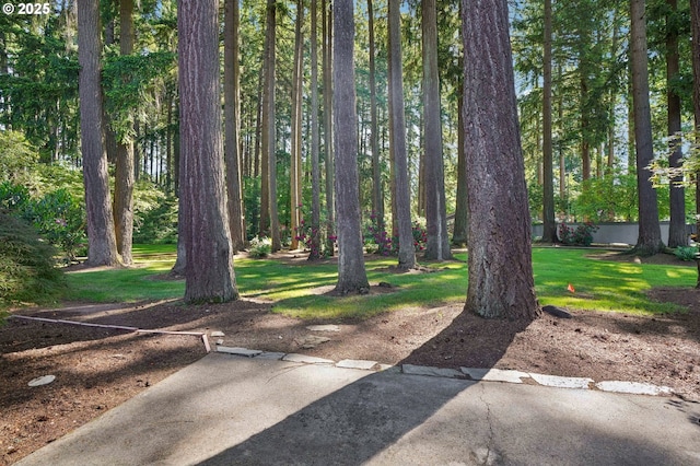 1200 NE Territorial Rd Unit 83, Canby, OR 97013 - view of green lawn