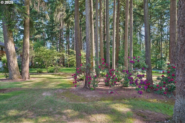 1200 NE Territorial Rd Unit 83, Canby, OR 97013 - view of grassy yard