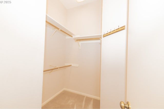 4020 NW Princess St, Corvallis, OR 97330 - spacious closet with carpet