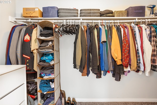 view of spacious closet