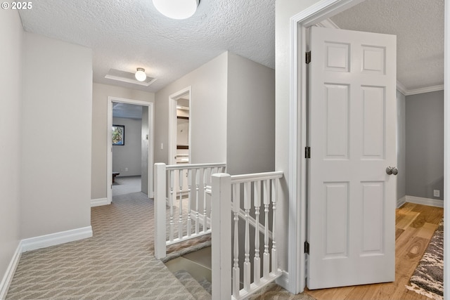 hallway with ornamental molding and a textured ceiling