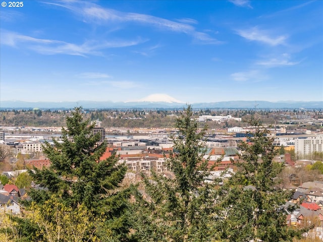 310 NW Uptown Ter Unit 1A, Portland, OR 97210 - drone / aerial view of a mountain backdrop
