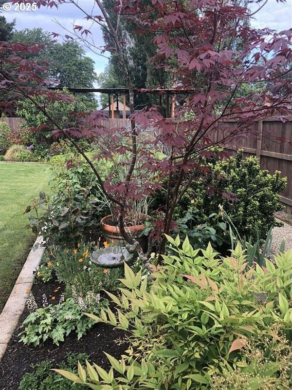 10603 NE 92nd Ave, Vancouver, WA 98662 - view of yard