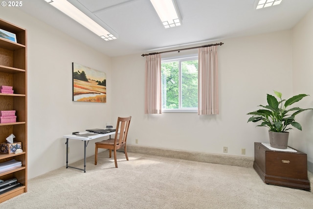 office featuring carpet