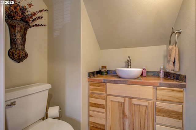459 Oak Valley Loop, Winchester, OR 97495 - bathroom with vaulted ceiling and vanity