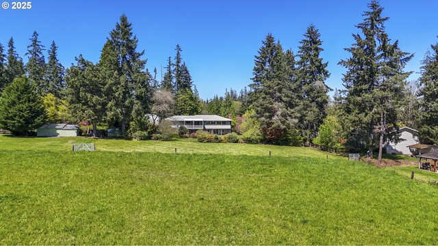 view of grassy yard