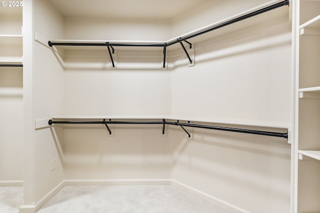 spacious closet featuring carpet