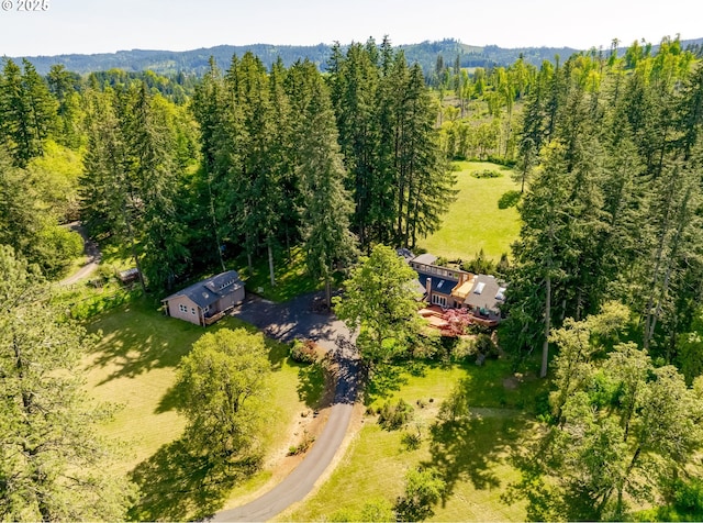 aerial view with a forest view