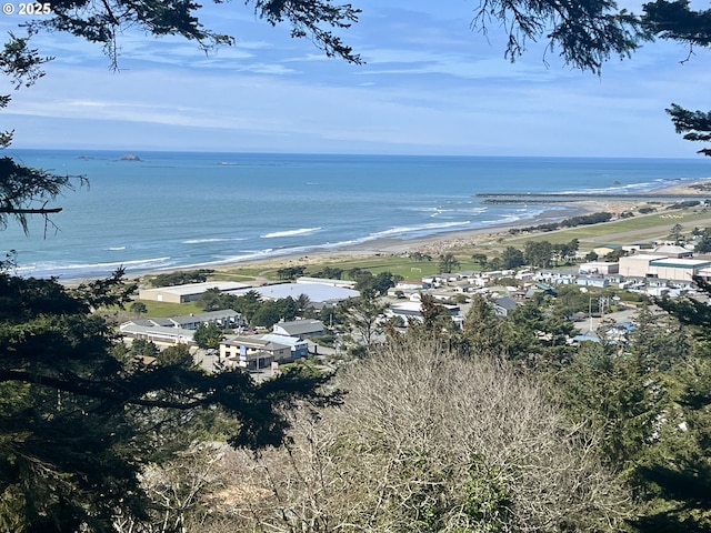 29202 Wallace St, Gold Beach, OR 97444 - bird's eye view with a water view