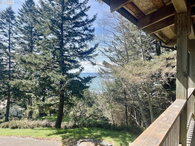 29202 Wallace St, Gold Beach, OR 97444 - view of yard