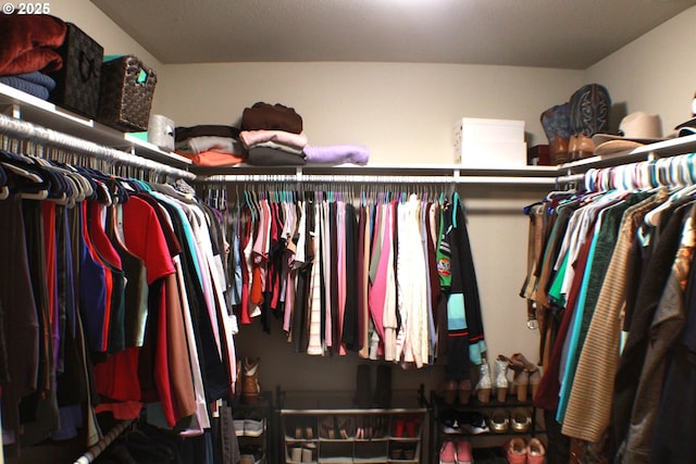 view of spacious closet