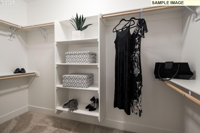 spacious closet featuring carpet