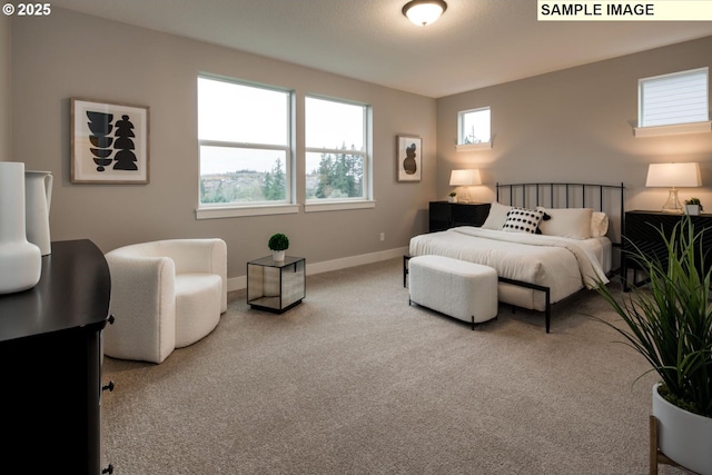 bedroom featuring multiple windows, carpet flooring, and baseboards