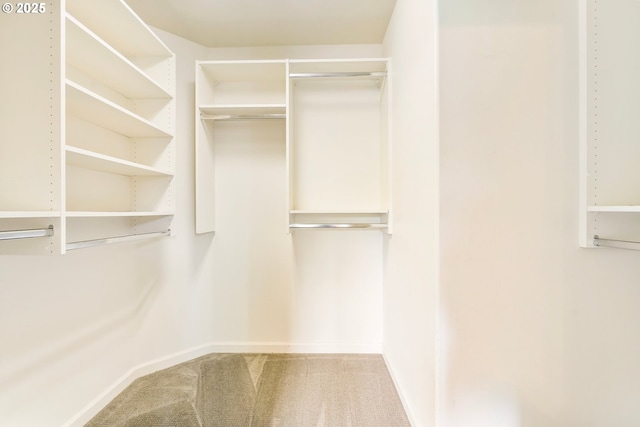 2435 NW Burnett St, Portland, OR 97229 - spacious closet with carpet flooring