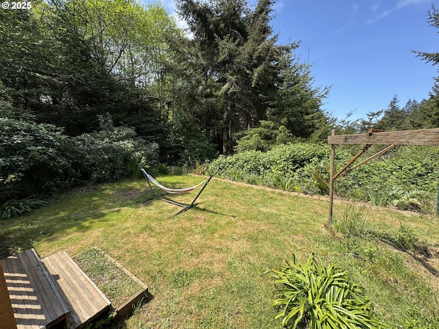 view of yard