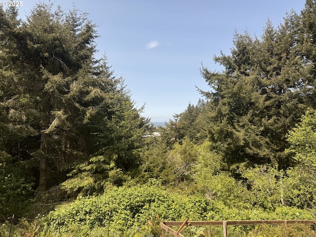view of local wilderness with a forest view