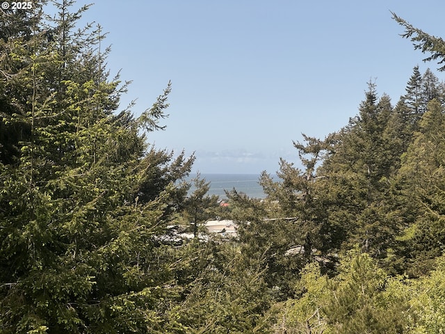 view of local wilderness