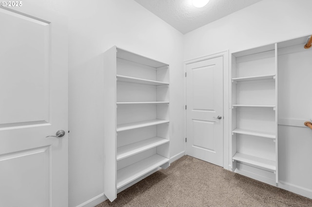 spacious closet with carpet floors