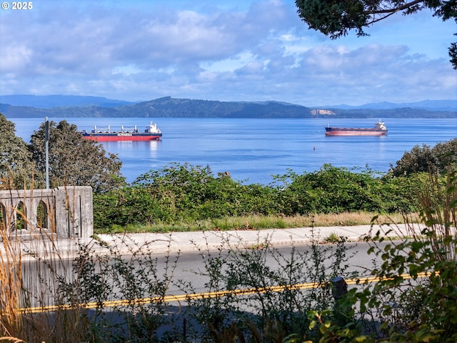 1925 Irving Ave, Astoria, OR 97103 - water view with a mountainous background