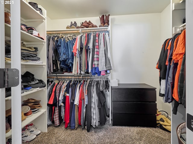 walk in closet with carpet