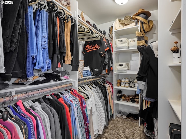 walk in closet featuring carpet floors