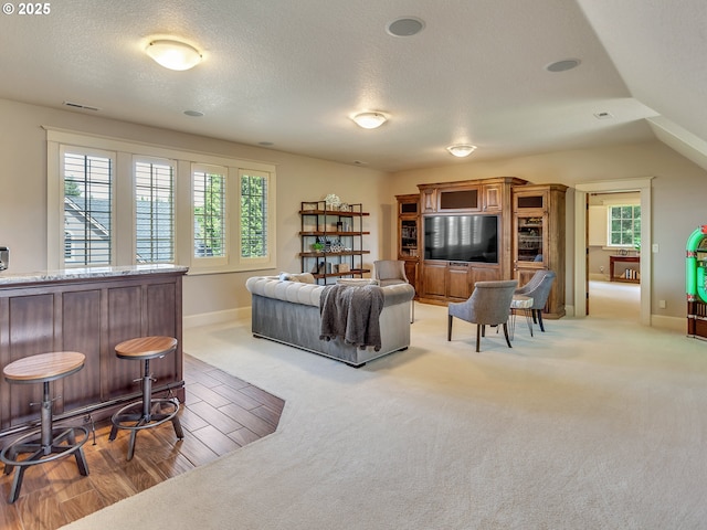 living room featuring vaulted ceiling, a textured ceiling, and carpet flooring