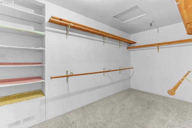 15170 SE 202nd Ave, Damascus, OR 97089 - spacious closet featuring attic access and carpet flooring