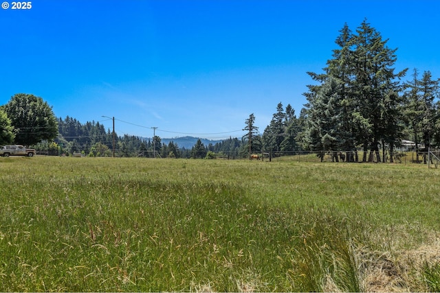 15170 SE 202nd Ave, Damascus, OR 97089 - view of local wilderness