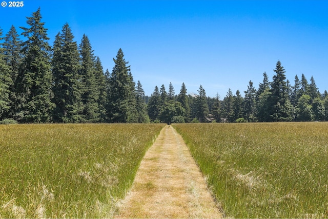 15170 SE 202nd Ave, Damascus, OR 97089 - view of road with a wooded view