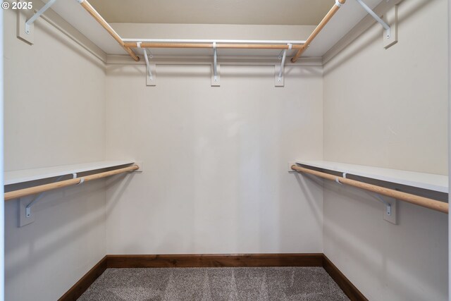 spacious closet with carpet flooring