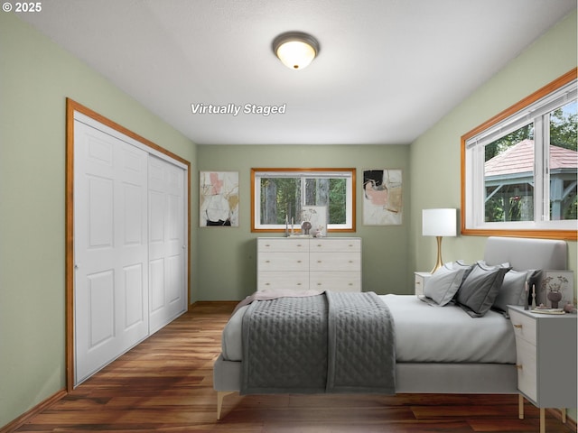 bedroom featuring a closet, dark hardwood / wood-style floors, and multiple windows