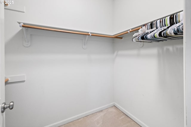 spacious closet featuring carpet floors