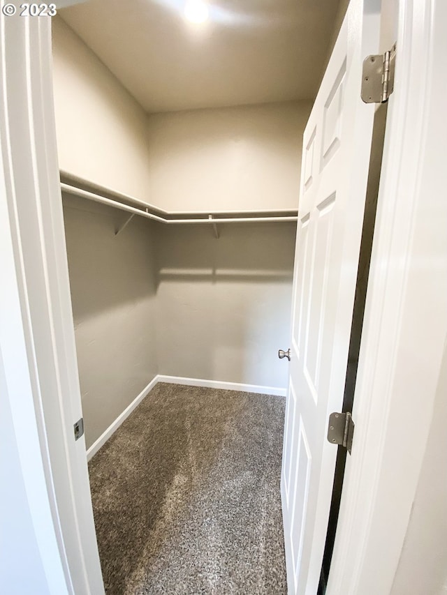 585 Baker St, Baker City, OR 97814 - spacious closet featuring carpet