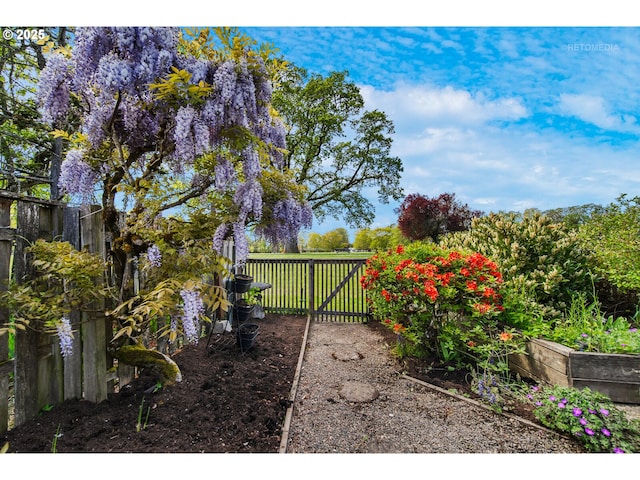 view of yard featuring fence and a garden