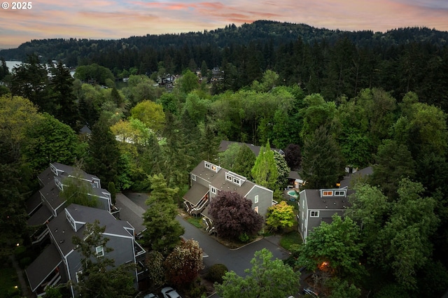aerial view at dusk with a wooded view