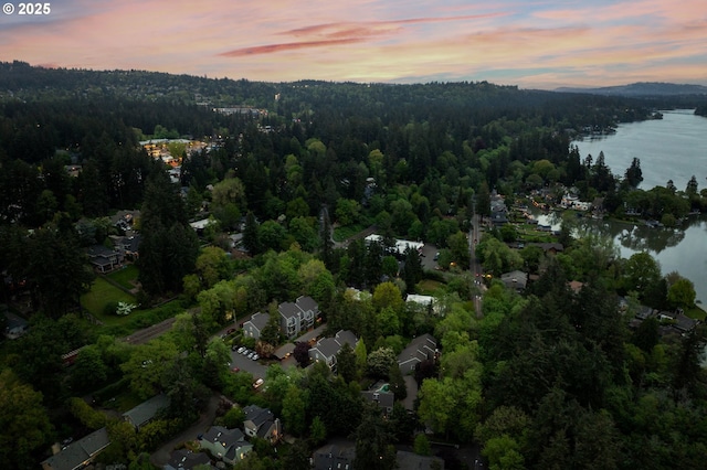 drone / aerial view featuring a water view and a wooded view