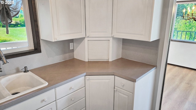 kitchen featuring a sink, wood finished floors, and white cabinets