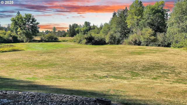 view of yard at dusk