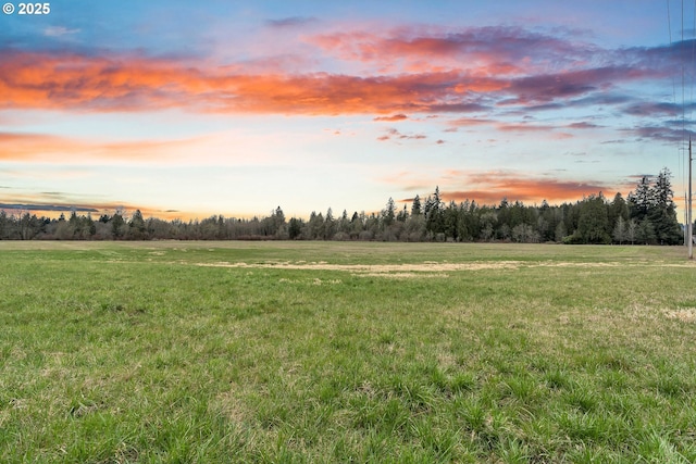 view of local wilderness with a rural view