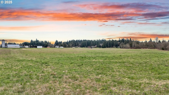 view of yard with a rural view