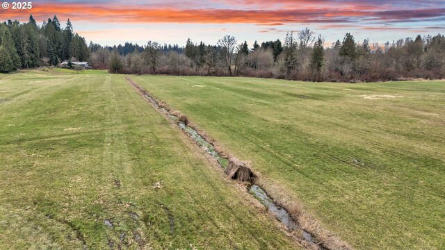 yard at dusk featuring a wooded view