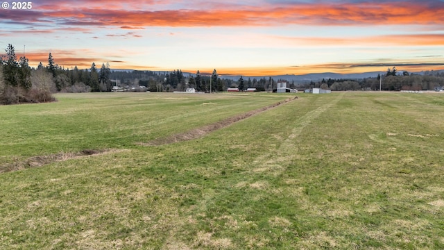 view of yard at dusk