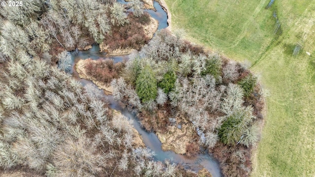 bird's eye view with a forest view and a water view