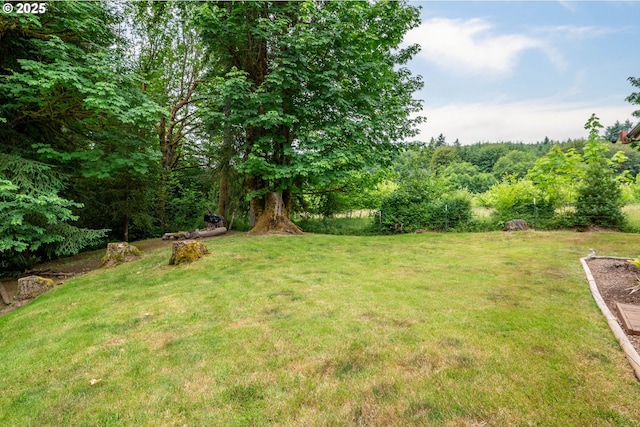 241 Growlers Gulch Rd, Castle Rock, WA 98611 - view of green lawn