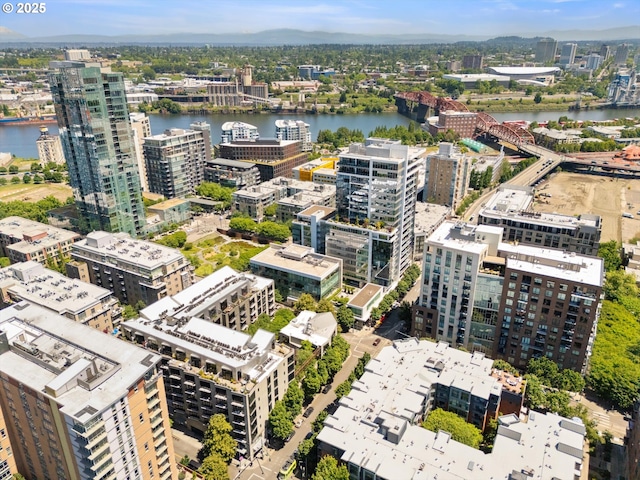 1030 NW 12th Ave Unit 201, Portland, OR 97209 - view of urban area featuring a large body of water